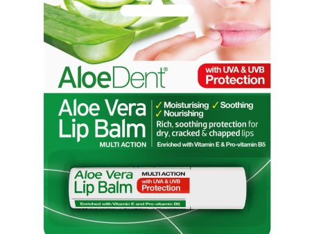 Aloe Dent | Aloe Vera Lip Balm | 4g For Discount